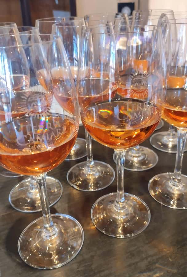 Córdoba: Wine Tour Privado a Colonia Caroya - Día completo - Is $220 per person good value?