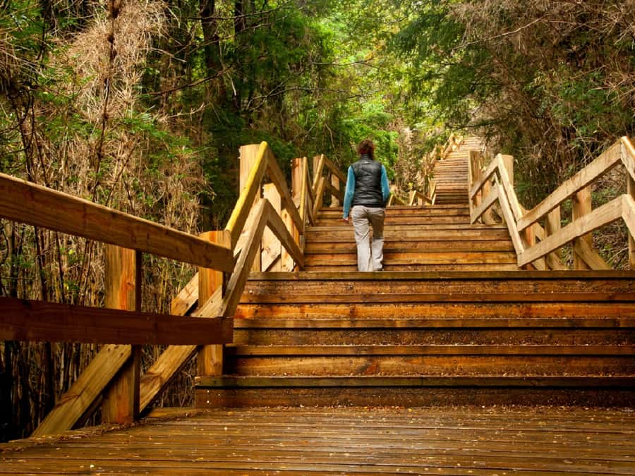 Crossing to Puerto Blest and Cascada de los Cántaros - Key points to know before you go