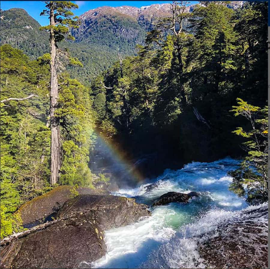 Crossing to Puerto Blest and Cascada de los Cántaros - Puerto Blest, where the lake meets thick forest