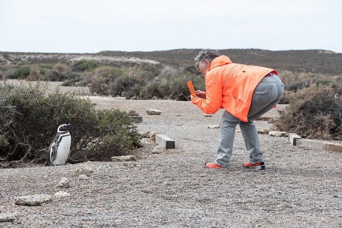 Cruise Shore Excursion Ea San Lorenzo Peninsula Valdes - Patagonia - Argentina - Why San Lorenzo is the main event