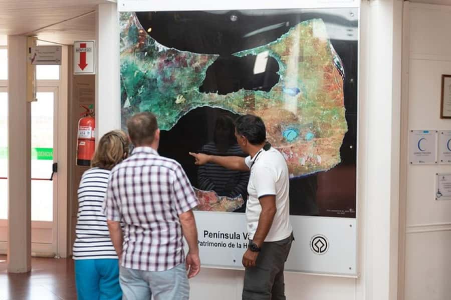 Cruise Shore Excursion Peninsula Valdes - Box Lunch Included - Who will enjoy this excursion most