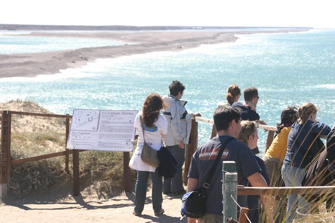 Cruise Shore Excursion Peninsula Valdes - Pto Madryn - Patagonia - Argentina - Penguins, sea lions, and the question of season