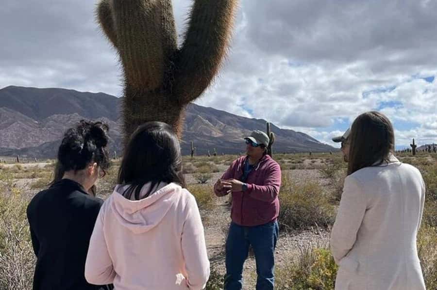 Day Trip to Cachi from Salta - Why the road to Cachi is the real attraction