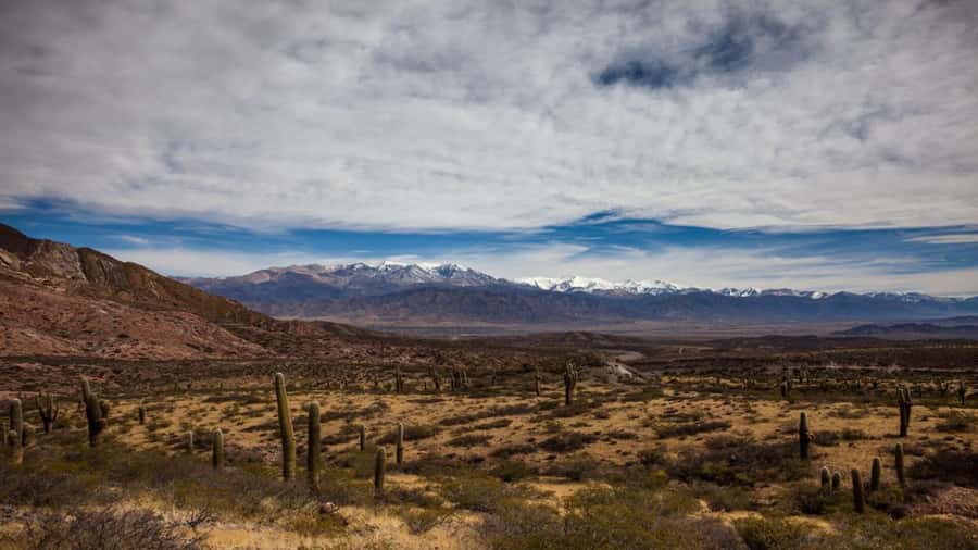 Day Trip to Cachi from Salta - A practical day-by-day rhythm