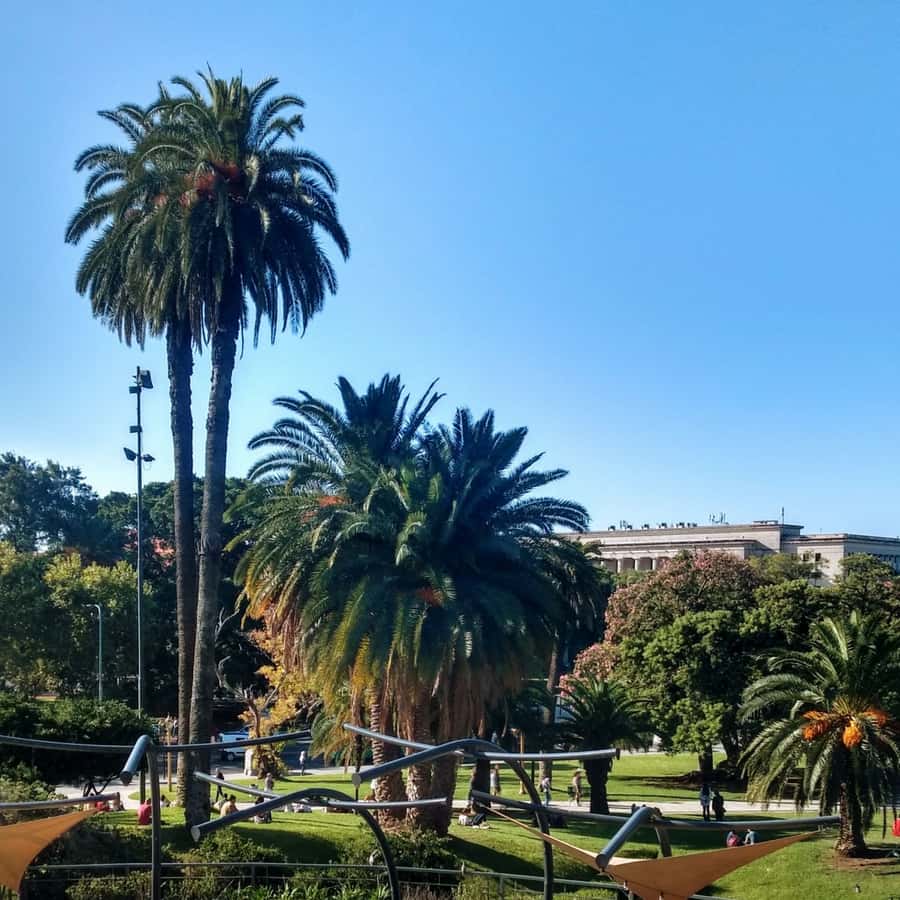 Discover Recoleta, Buenos Aires' Little Paris - A short visit to the Museo Nacional de Bellas Artes