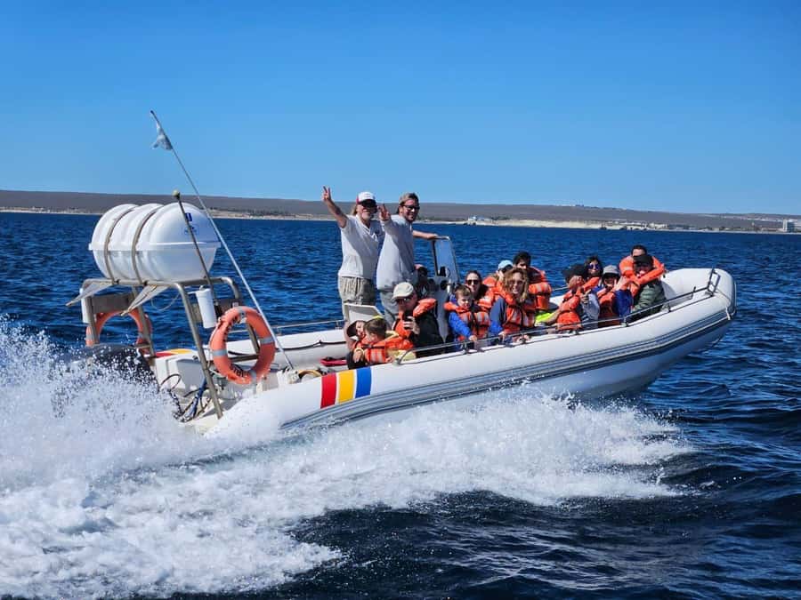 Dolphin Watching Adventure - At a Glance