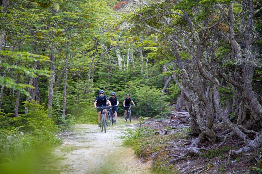 E-BIKE Beagle Viewpoint - Climbing beside Buena Esperanza stream