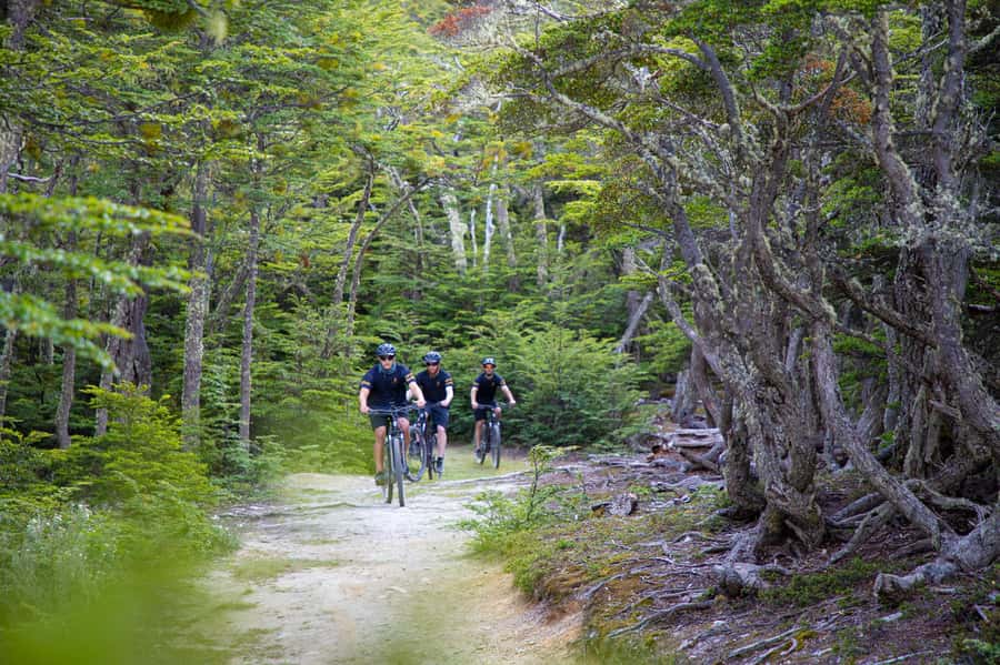 E-BIKE Beagle Viewpoint - Guides, pace, and the personal feel