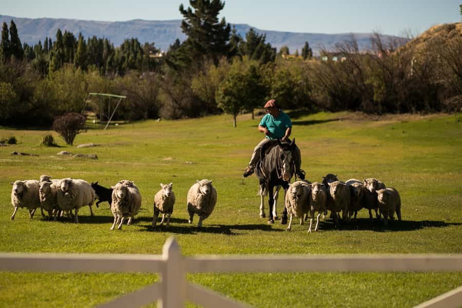 El Calafate: Estancia 25 de Mayo Tour with Dinner & Transfer - Argentine music and dancing after dark
