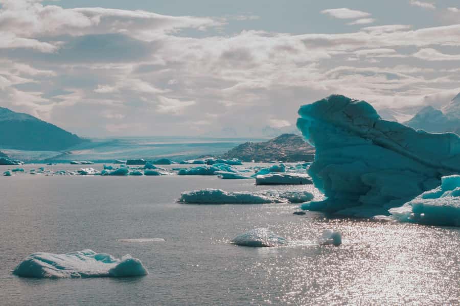 El Calafate: Gourmet Navigation Upsala & Spegazzini Glaciers - Icebergs in the Upsala Channel