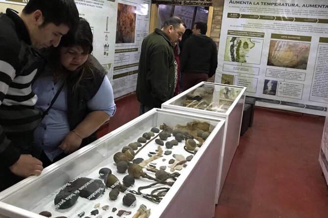 El Calafate History Museum Tour - The 100-million-year story begins with fossils