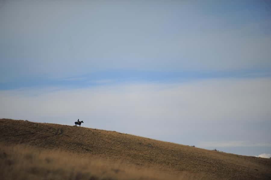 El Calafate: Horseback riding in Cerro Frias - Who will enjoy this Cerro Frias experience most?