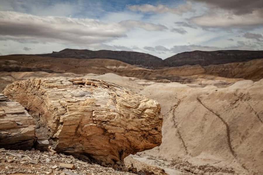 El Calafate: Kayak and Hike La Leona River Tour - Why combine kayaking and hiking on La Leona River?