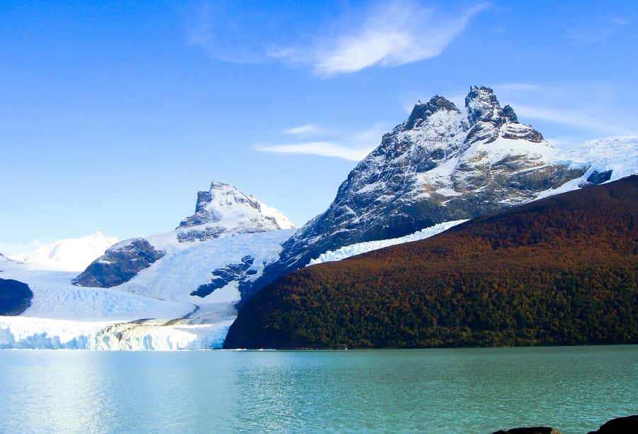 El Calafate: Lake Argentino Upsala Channel Glaciers Cruise - What the day feels like in practice