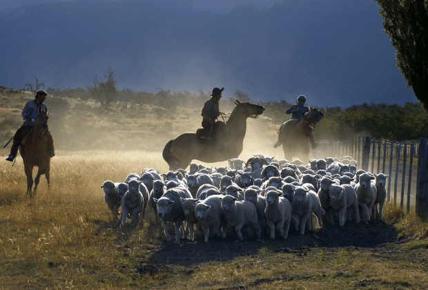 El Calafate: Nibepo Aike Ranch with Horseback Riding - FAQ