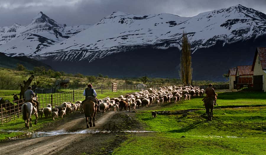 El Calafate: Nibepo Aike Ranch with Horseback Riding - A 45-minute ride with a baqueano