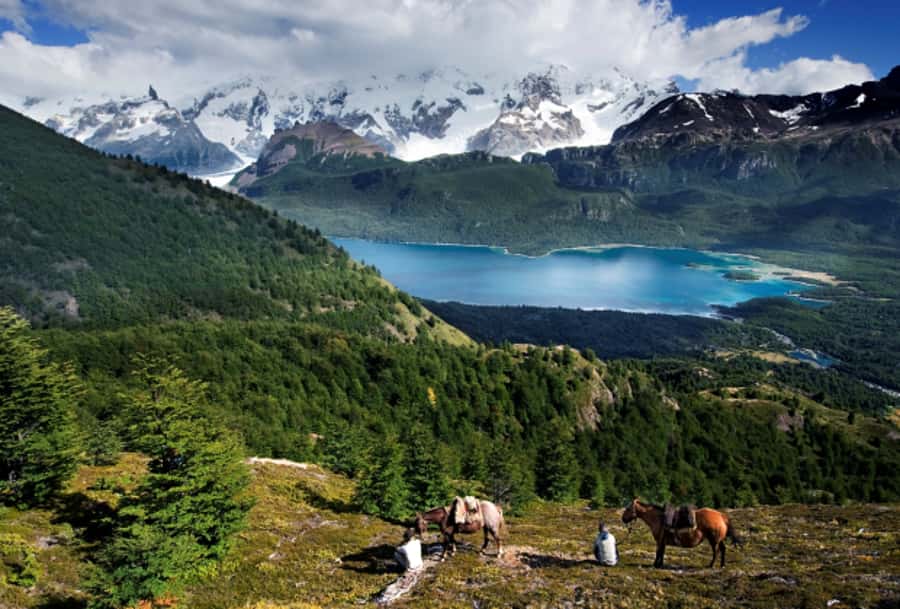 El Calafate: Nibepo Aike Ranch with Horseback Riding - Who will enjoy this estancia day most?