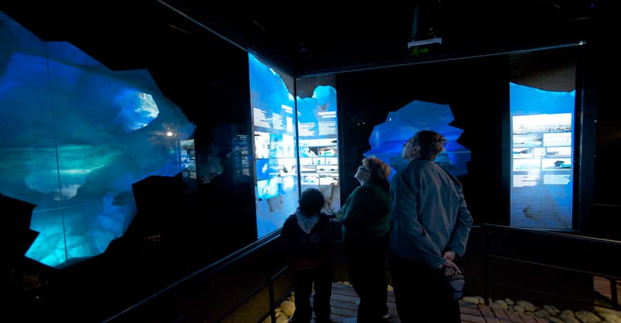 El Calafate: Perito Moreno Glacier, Boat Cruise & Glaciarium - The Glaciarium on the second day