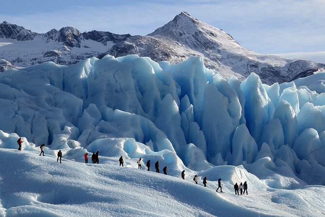 El Calafate Perito Moreno Glacier Minitrekking Adventure Tour - Forest paths, footbridges, and the approach to the ice