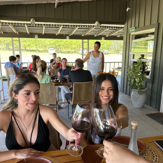Enjoy a Rural Experience in a Vineyard near Buenos Aires - Who Will Get the Most From This Visit?