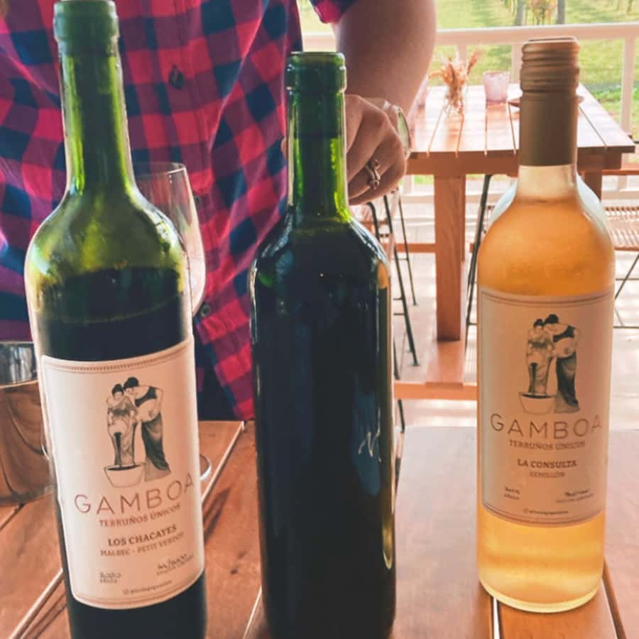 Enjoy a Rural Experience in a Vineyard near Buenos Aires - Leaving Buenos Aires for Campana