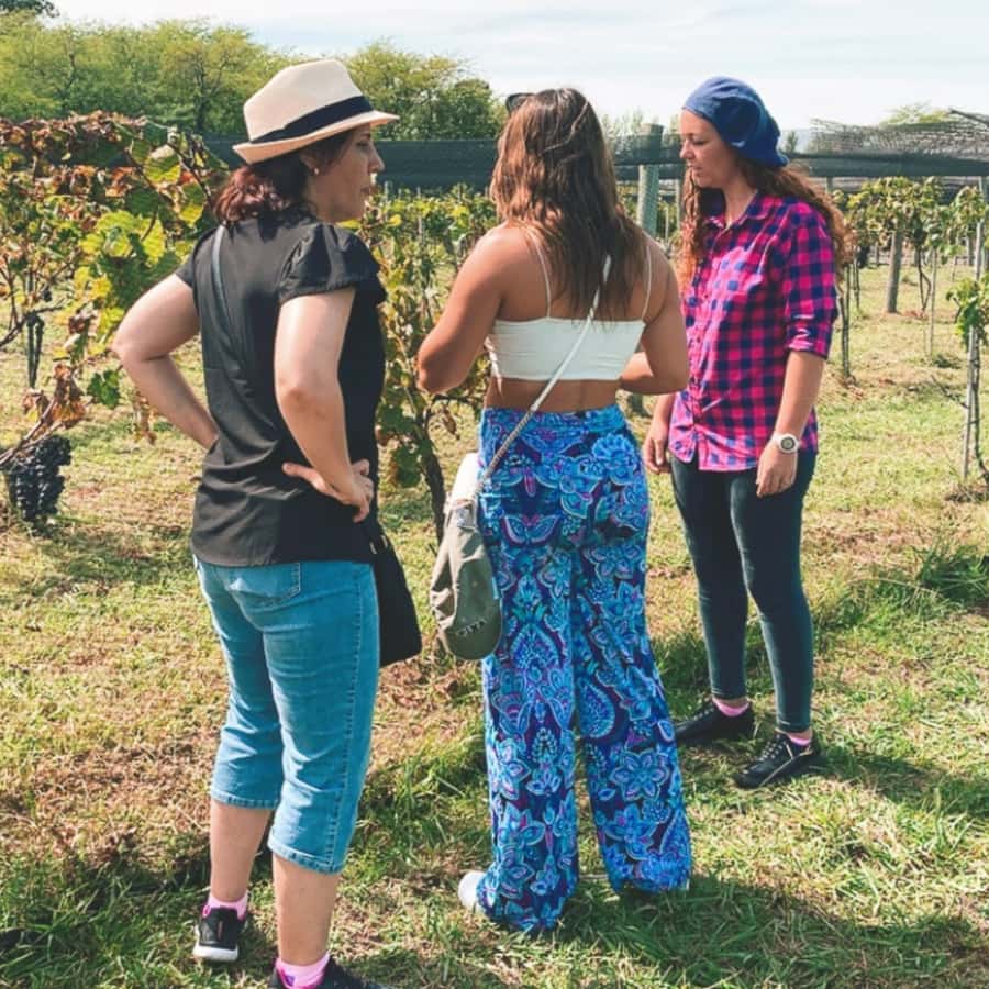 Enjoy a Rural Experience in a Vineyard near Buenos Aires - A Four-Course Lunch at the Countryside Restaurant