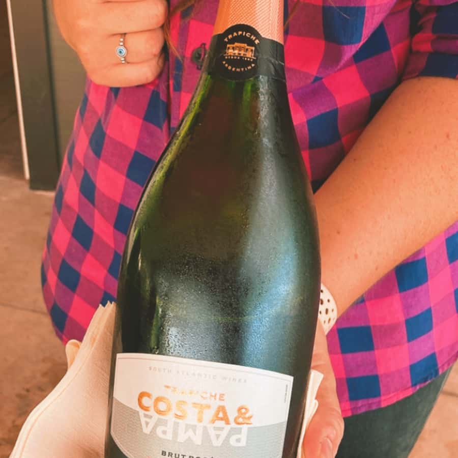 Enjoy a Rural Experience in a Vineyard near Buenos Aires - How the $264 Price Measures Up