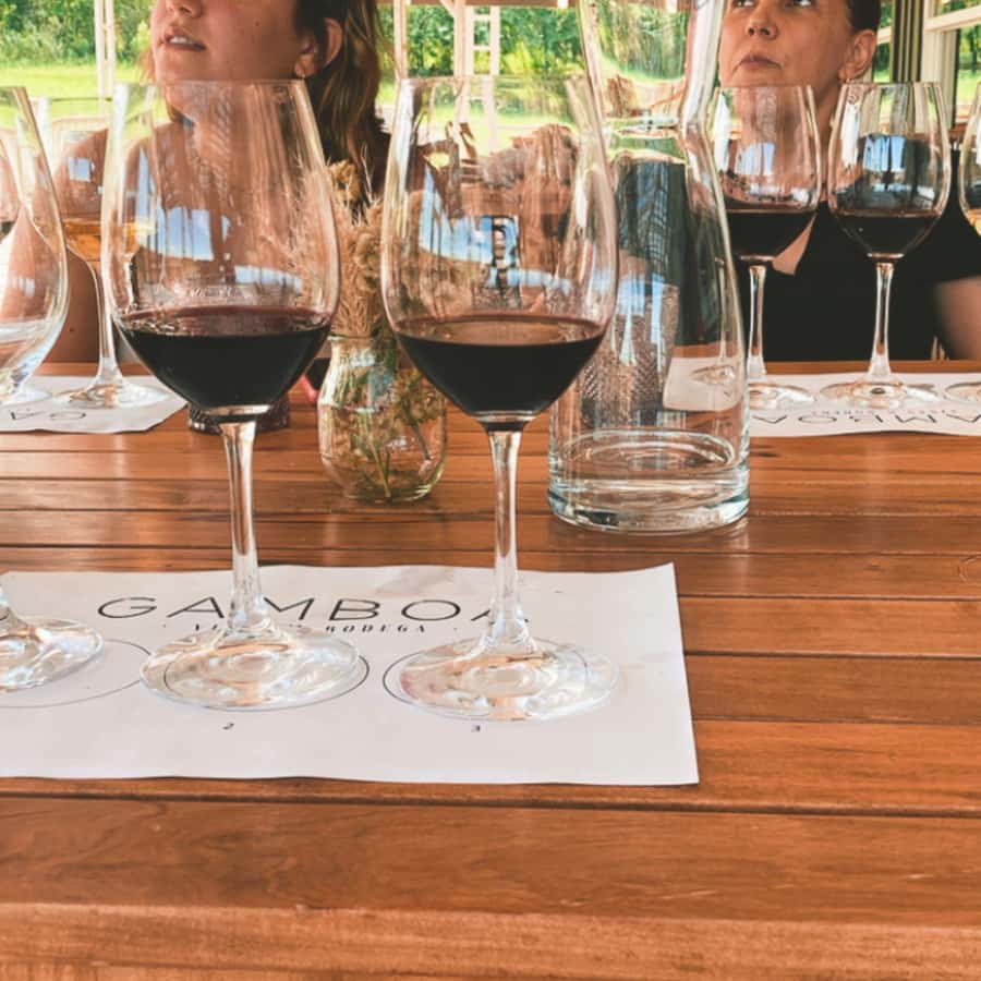 Enjoy a Rural Experience in a Vineyard near Buenos Aires - The Heat, Walking, and Vehicle Comfort
