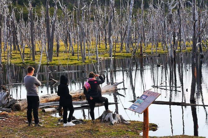 Escondido y Fagnano Lakes - Who will enjoy this six-hour outing?