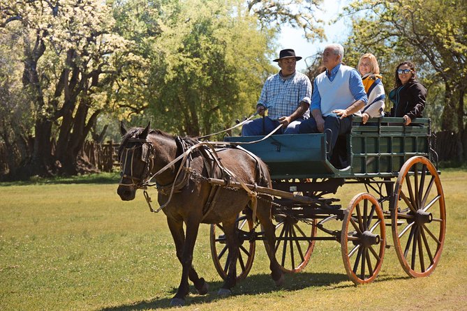 Estancia Gaucho Day at Buenos Aires - Timing, comfort, and small practical concerns