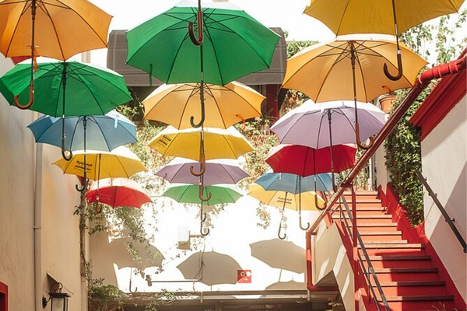 Experience The Essence of Buenos Aires in San Telmo - How much value do you get for $52?