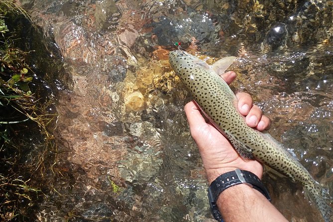 Fly Fishing on Private Andean River Including Barbecue Lunch - Valle de Uco and the road toward La Carrera