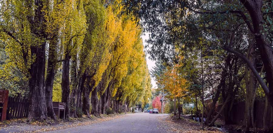 From Bariloche: Chico Circuit & Colonia Suiza Tour - The Seven Lakes Road and Villa La Angostura question