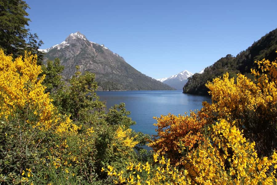 From Bariloche: Half-Day Circuito Chico Sightseeing Tour - What the $75 price includes, and what it does not
