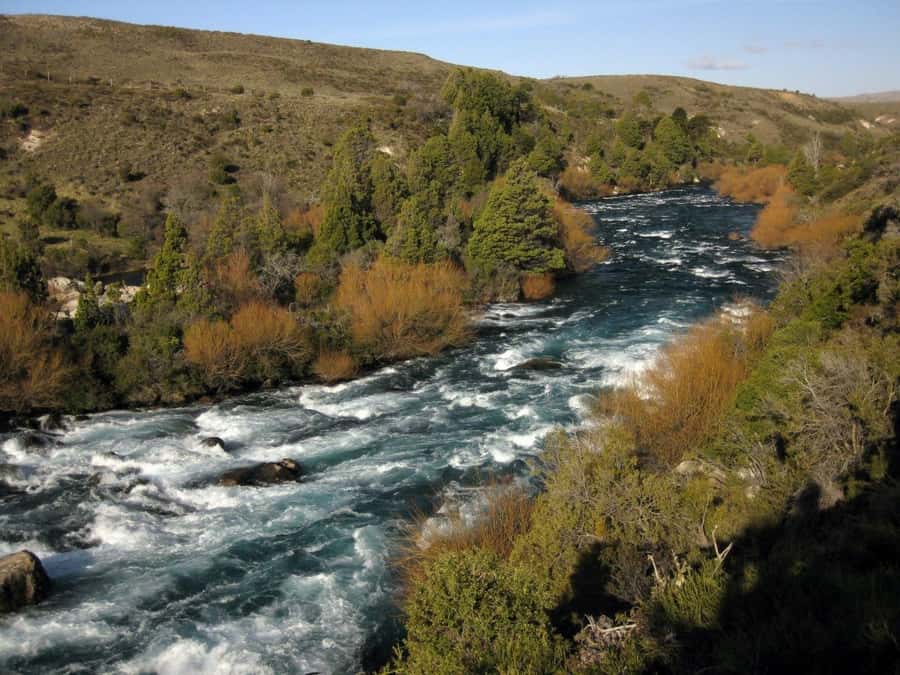 From Bariloche: San Martin de los Andes and 7 Lakes Circuit - Key points to know before booking