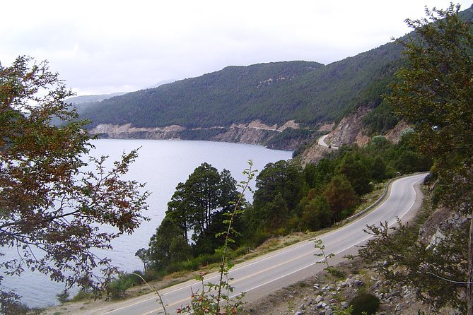 From Bariloche: San Martín de los Andes by The 7 Lakes Route - Who will enjoy this outing most?