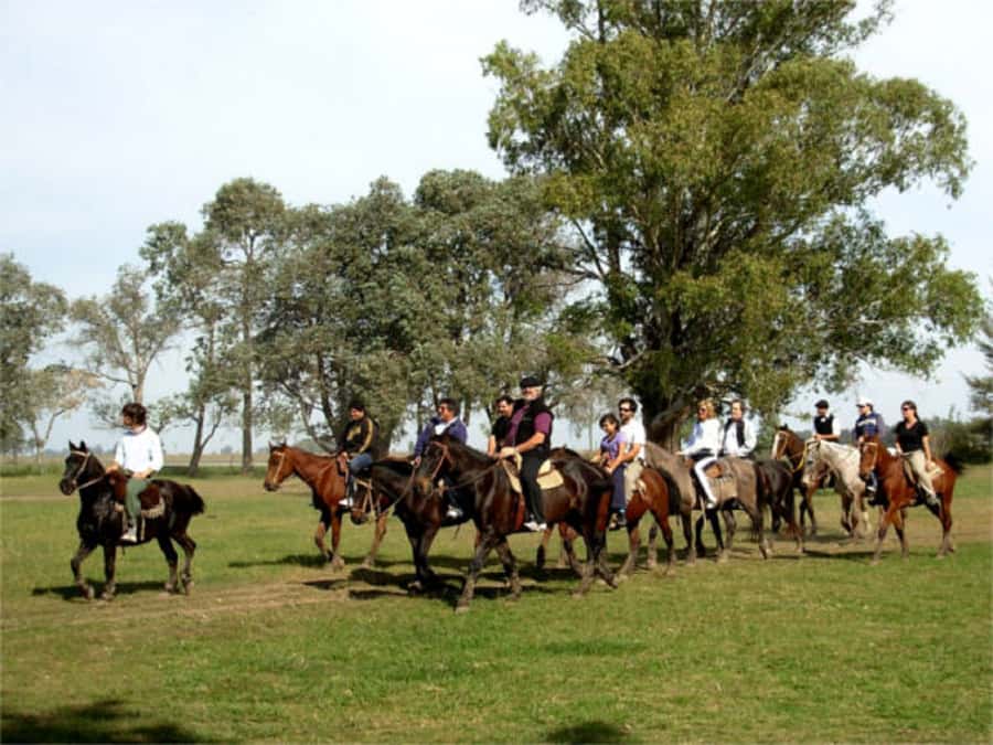 From Buenos Aires: Estancia Don Silvano Tour with Lunch. - Key Points Before You Book