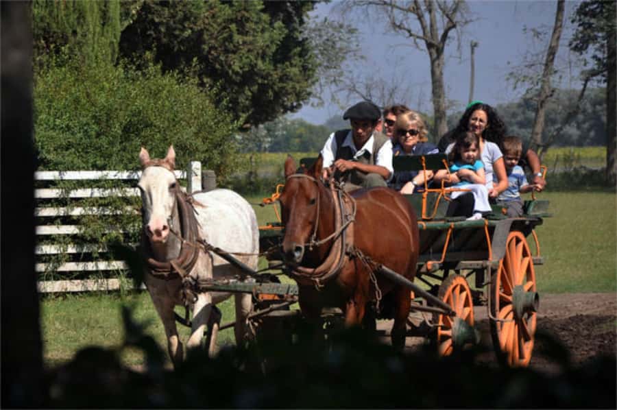 From Buenos Aires: Estancia Don Silvano Tour with Lunch. - Why Don Silvano Offers More Than a Country Lunch