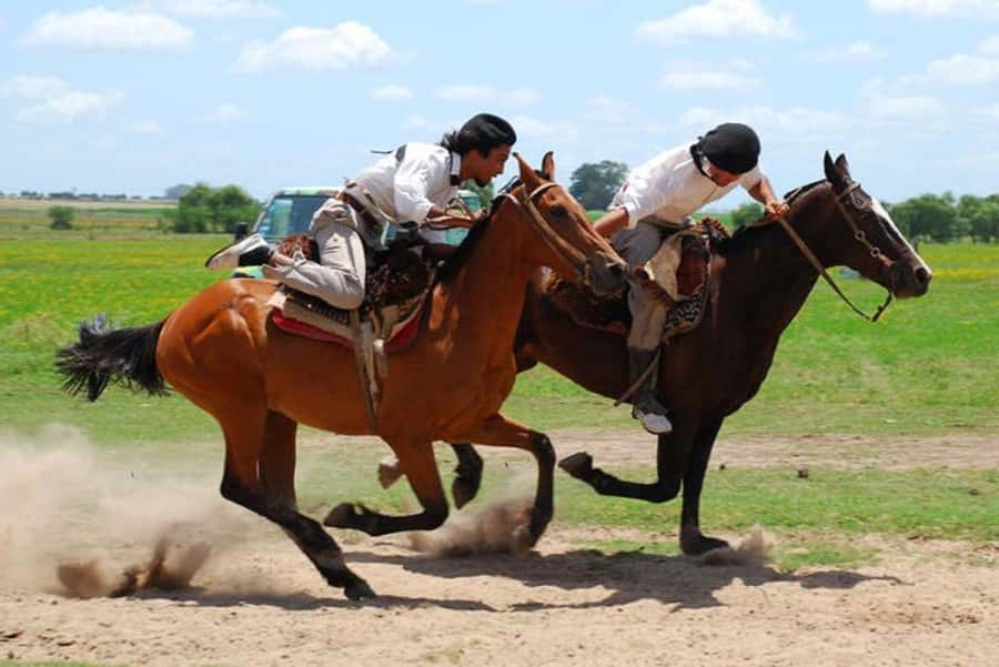 From Buenos Aires: Estancia Don Silvano Tour with Lunch. - Empanadas, Wine, and the First Look Around