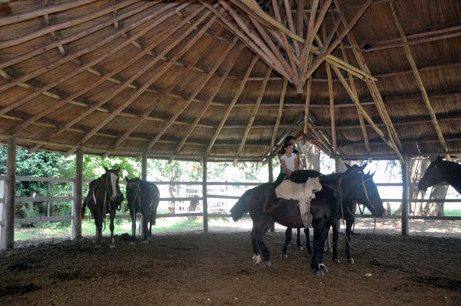 From Buenos Aires: Estancia Don Silvano Tour with Lunch. - Gaucho Skills, Carriages, and the Question of Horseback Riding
