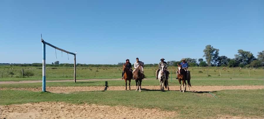 From Buenos Aires: Estancia Don Silvano Tour with Lunch. - Afternoon Tea With Fried Cakes