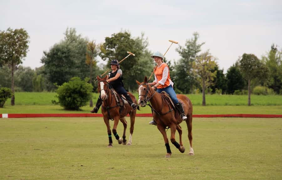 From Buenos Aires: Polo Match, Lesson, and BBQ Day-Trip - Leaving Buenos Aires for the Argentine campo