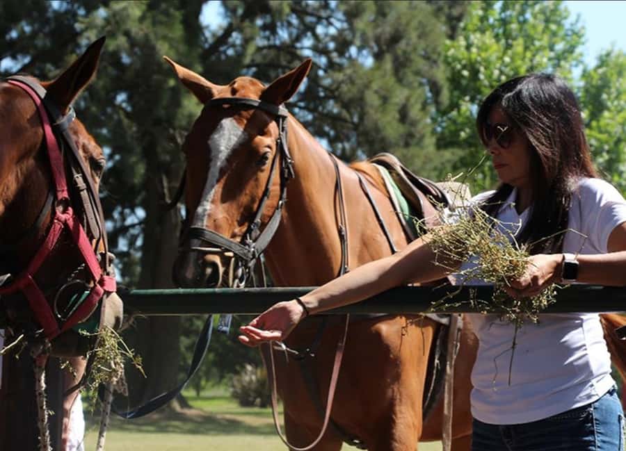 From Buenos Aires: Polo Match, Lesson, and BBQ Day-Trip - Watch a professional match from close range