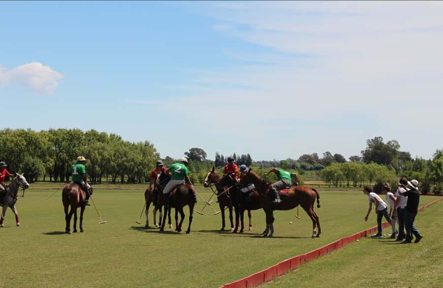From Buenos Aires: Polo Match, Lesson, and BBQ Day-Trip - Empanadas and wine set the tone