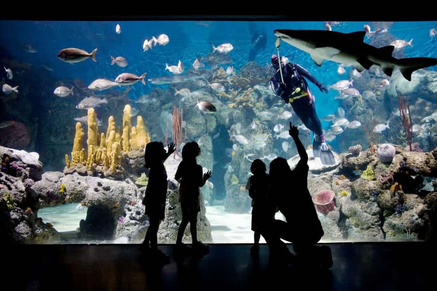 From Buenos Aires: Temaiken Zoo Tour with Ticket Included - Timing, closures, and practical planning