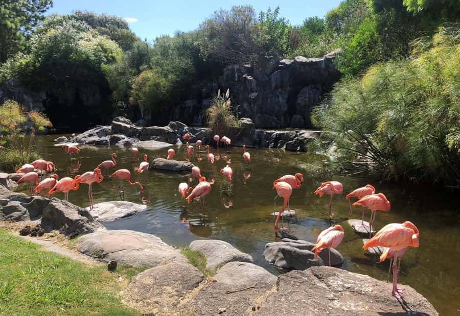 From Buenos Aires: Temaiken Zoo Tour with Ticket Included - The aquarium and Argentina’s water worlds