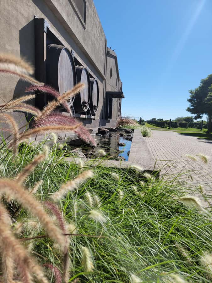 From Cordoba: Private Wine tour & History - Inside Terra Camiare, a modern winery with an old family home