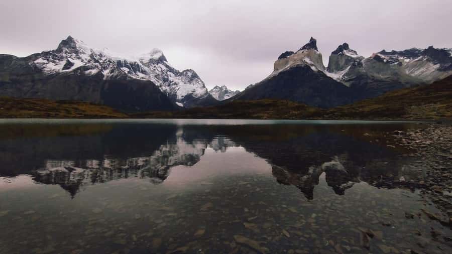 From El Calafate: Torres del Paine Full Day Tour - Cuernos del Paine and Laguna Amarga