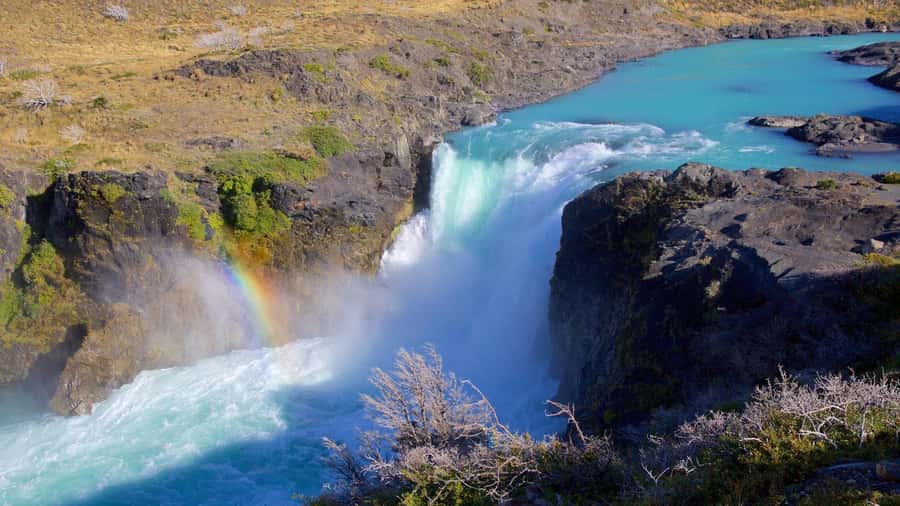 From El Calafate: Torres del Paine Full Day Tour - Lunch, rest stops, and the long return