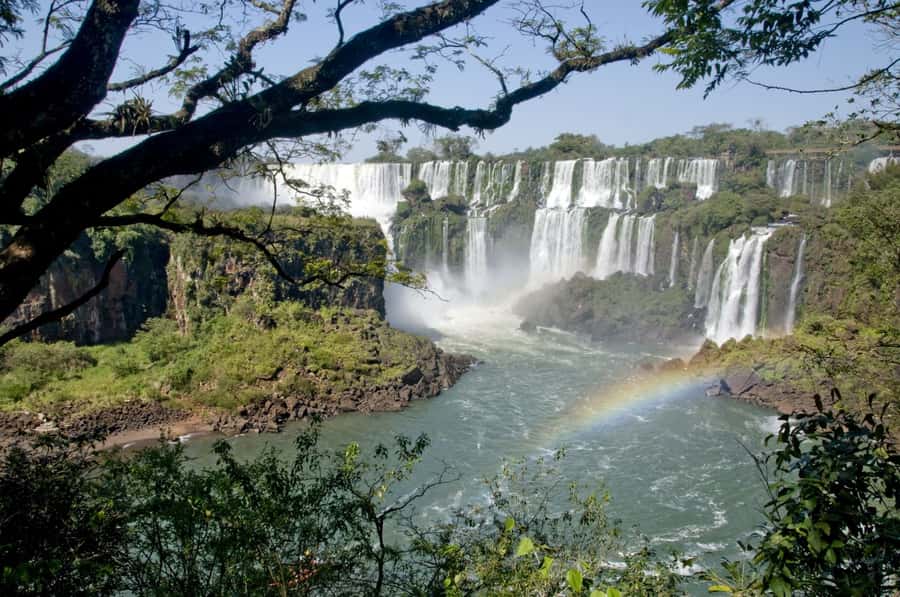 From Foz do Iguaçu: Argentinean Falls Tour with Pickup - Lower Circuit: jungle paths and spray
